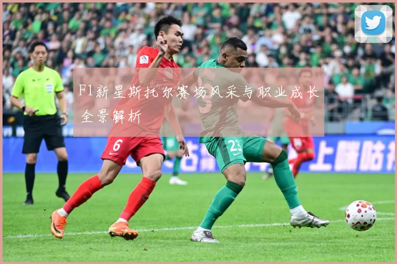 F1新星斯托尔赛场风采与职业成长全景解析