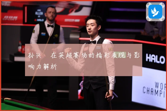 孙兴慜在英超赛场的精彩表现与影响力解析